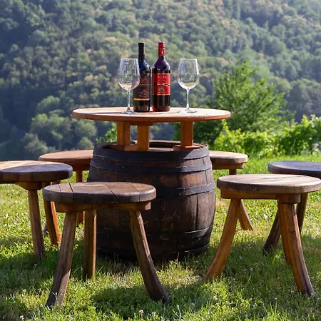 Andy's With Hottub & Sauna 펜션 Podbocje